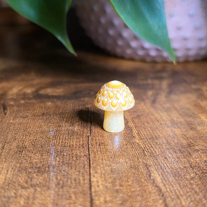 Mini Mandala Mushroom Collection