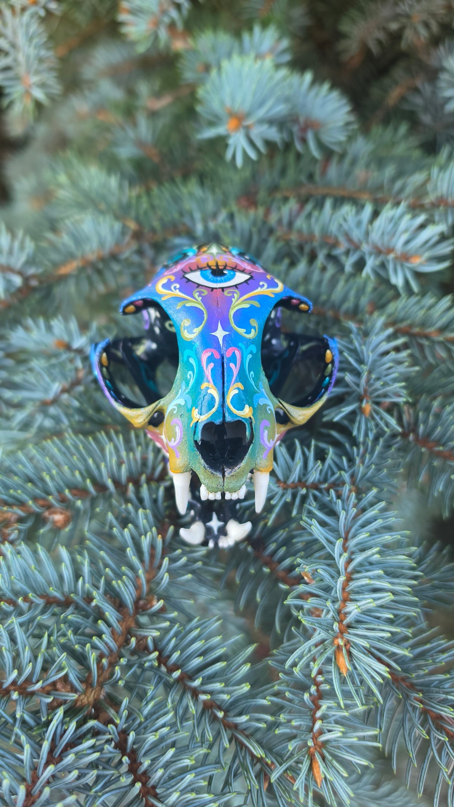 Cat Skull Third Eye