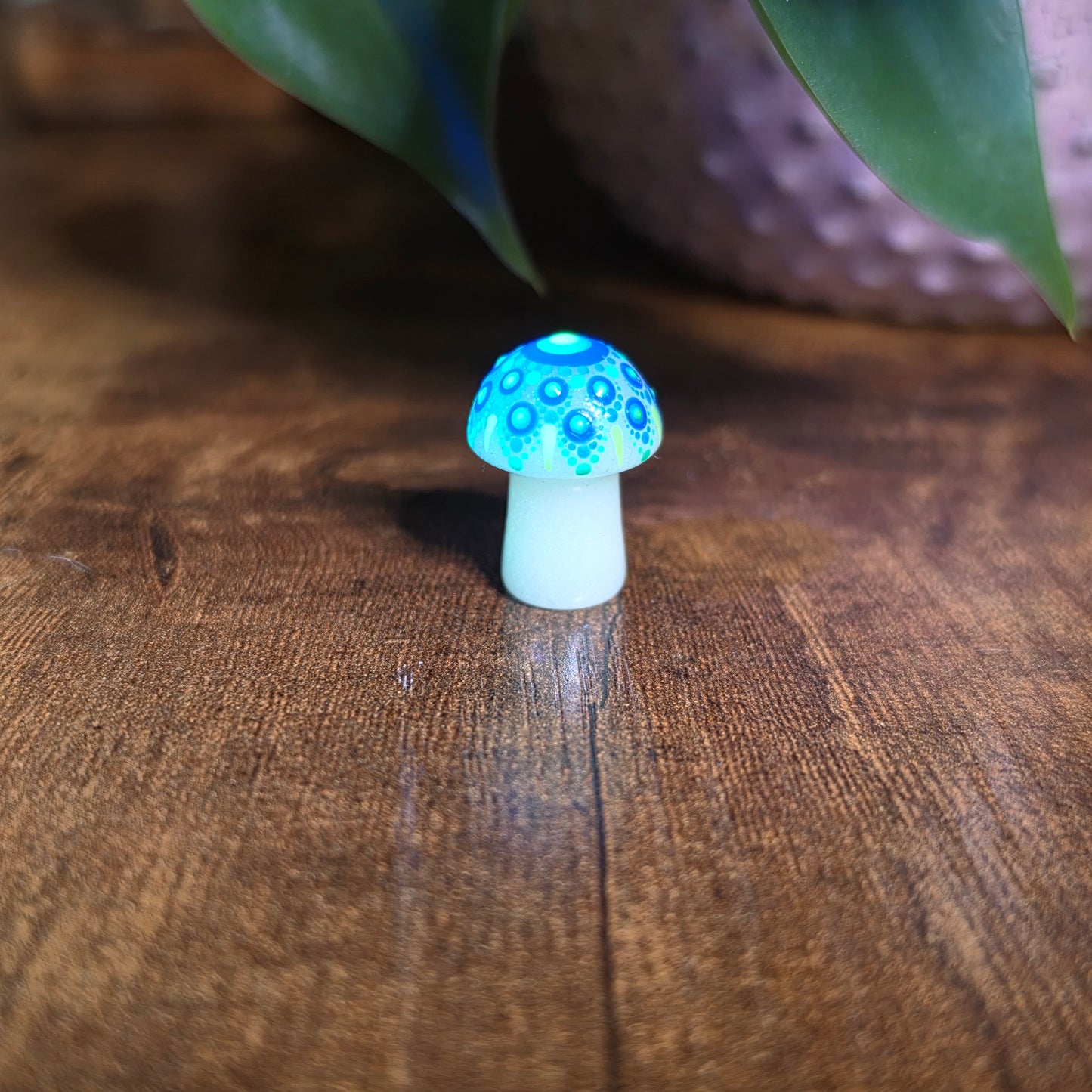 Mini Mandala Mushroom Collection