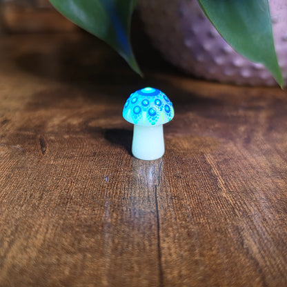 Mini Mandala Mushroom Collection