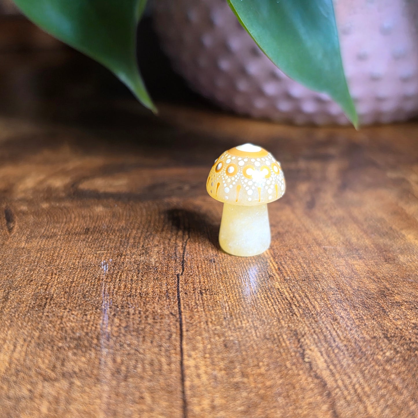 Mini Mandala Mushroom Collection