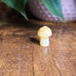 Mini Mandala Mushroom Collection