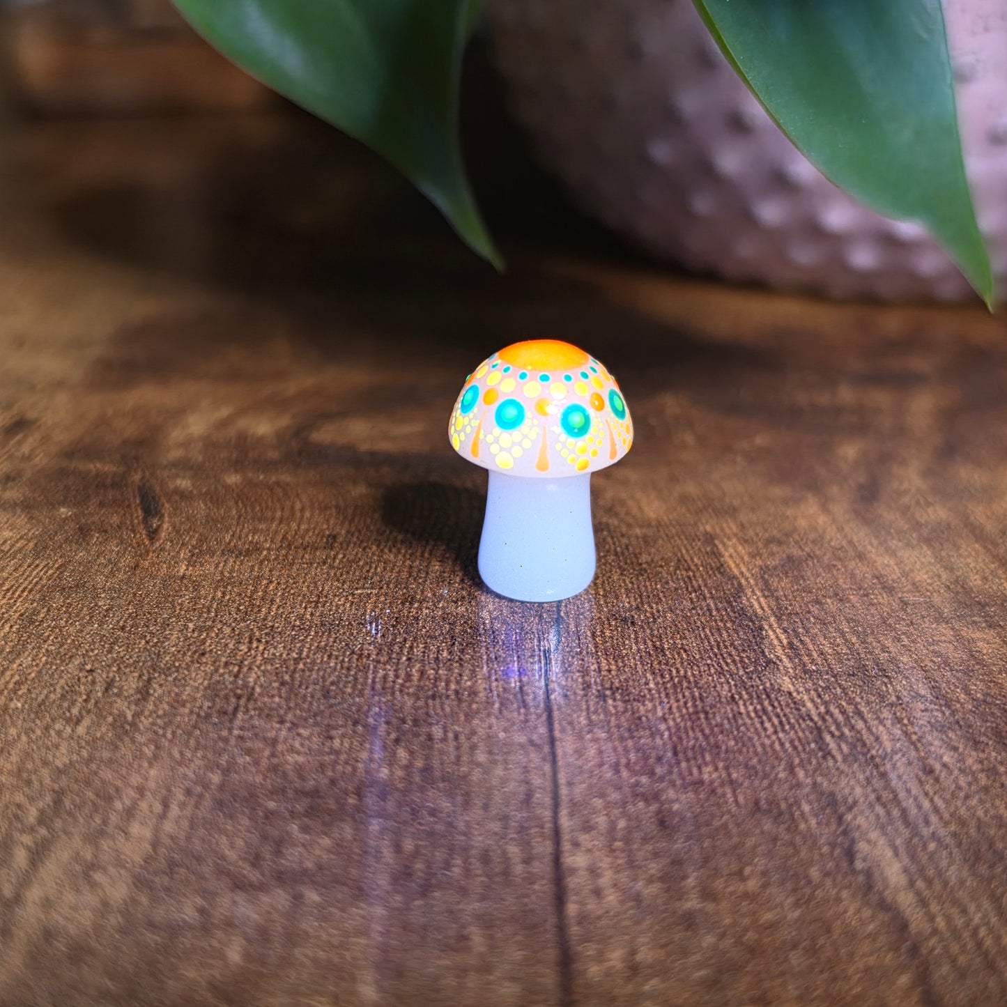 Mini Mandala Mushroom Collection