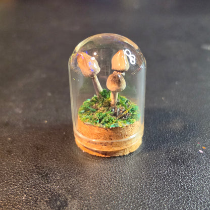 Miniture Mushroom Terrarium