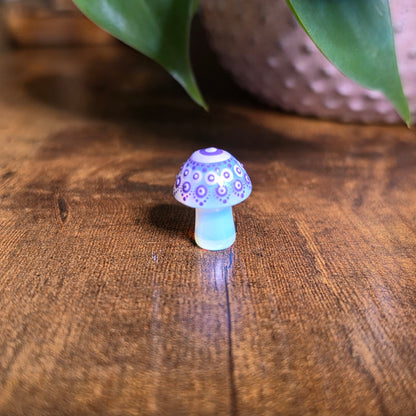 Mini Mandala Mushroom Collection