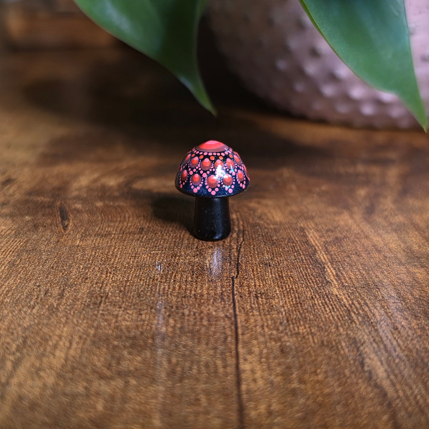 Mini Mandala Mushroom Collection