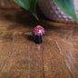 Mini Mandala Mushroom Collection