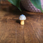 Mini Mandala Mushroom Collection