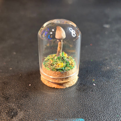 Miniture Mushroom Terrarium