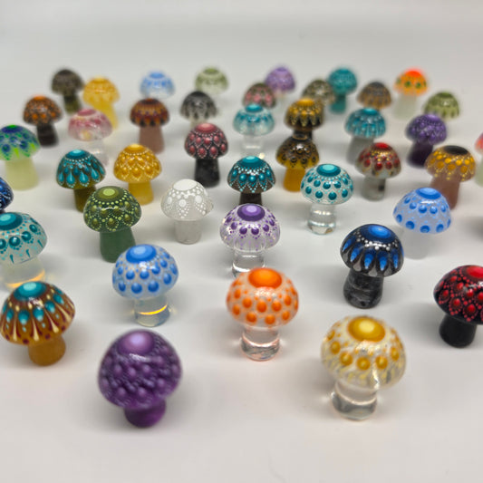Mini Mandala Mushroom Collection