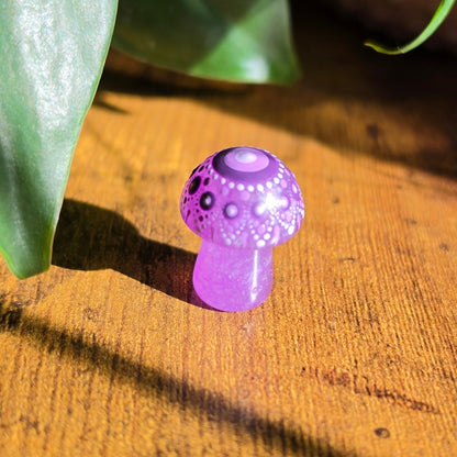 Mini Mandala Mushroom Collection