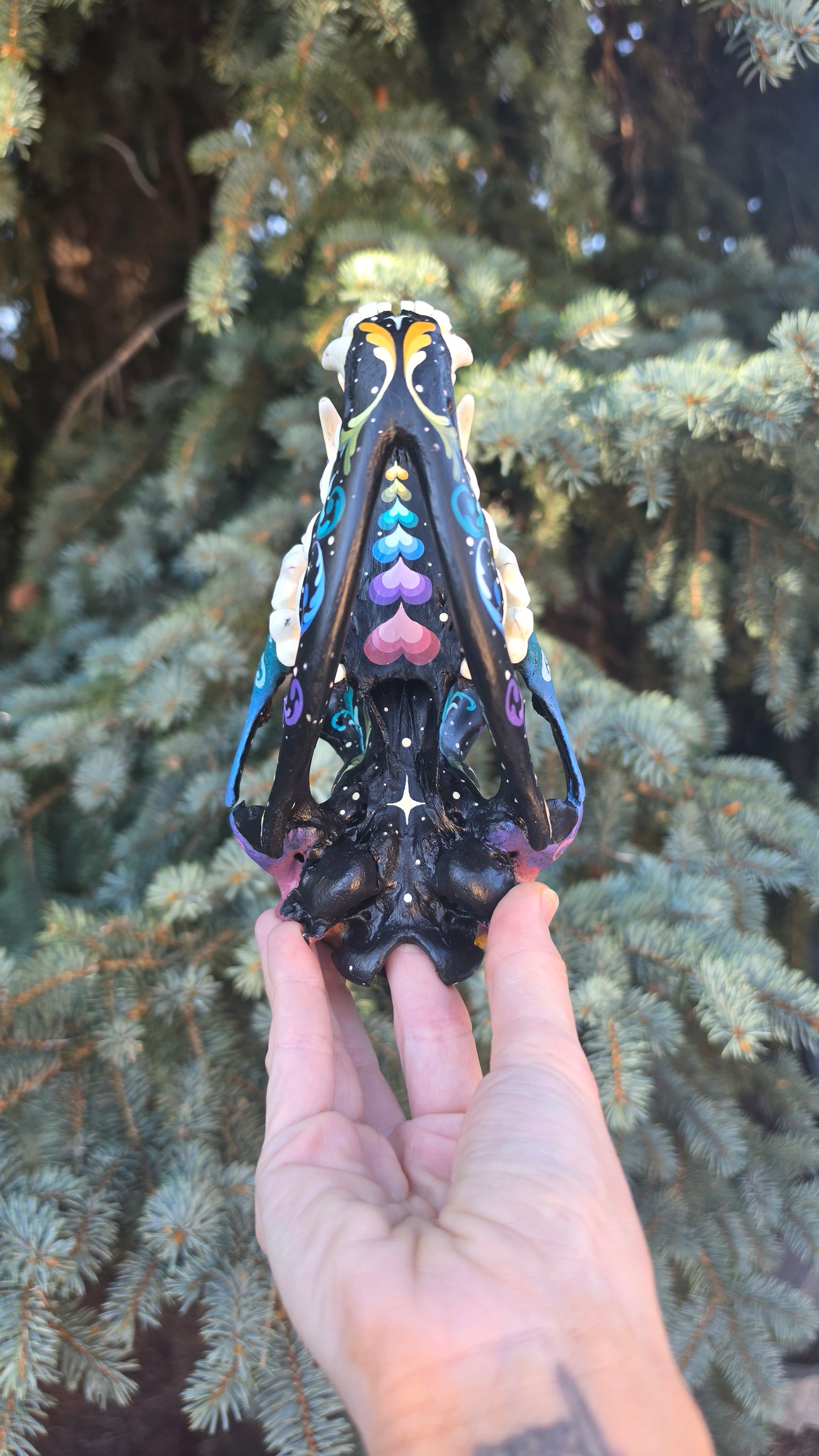 Coyote Skull - Pastel Galaxy