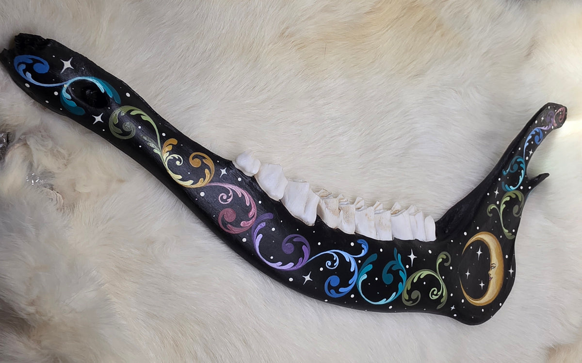 Elk Jaw Bone - Celestial Rainbow Oddity Art