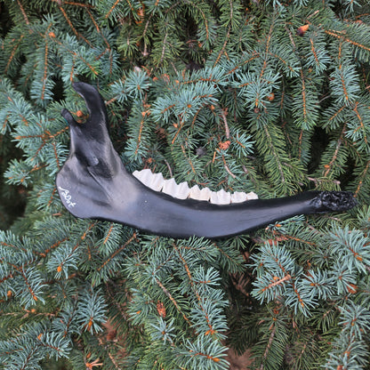 Elk Jaw Bone - Celestial Rainbow Oddity Art