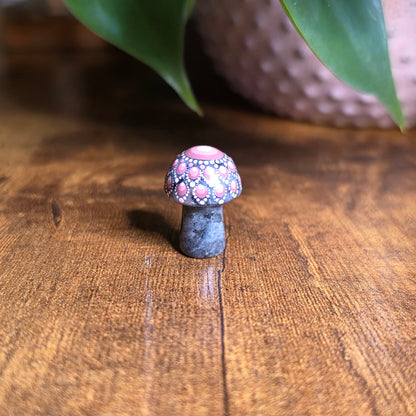 Mini Mandala Mushroom Collection