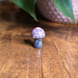 Mini Mandala Mushroom Collection
