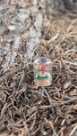 Miniture Mushroom Terrarium