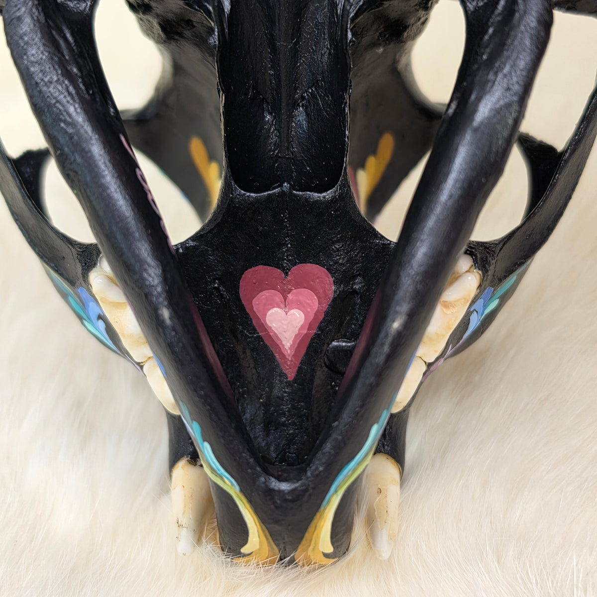 Bobcat Skull - Pastel