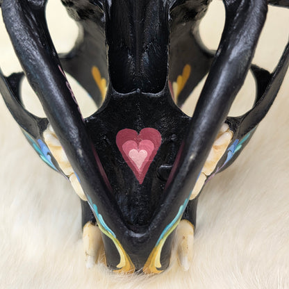Bobcat Skull - Pastel