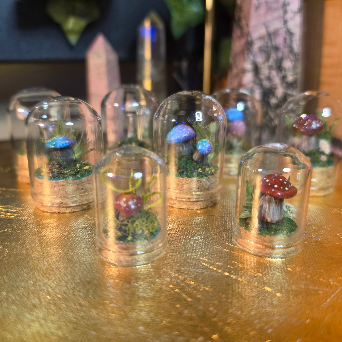Miniture Mushroom Terrarium