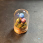 Miniture Mushroom Terrarium