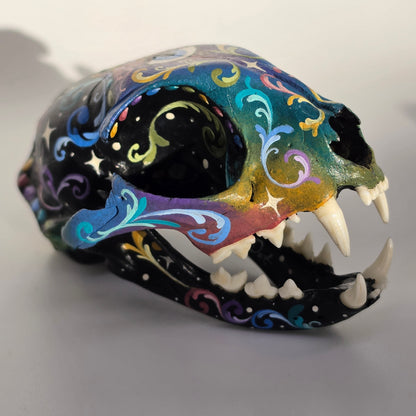 Cat Skull Third Eye