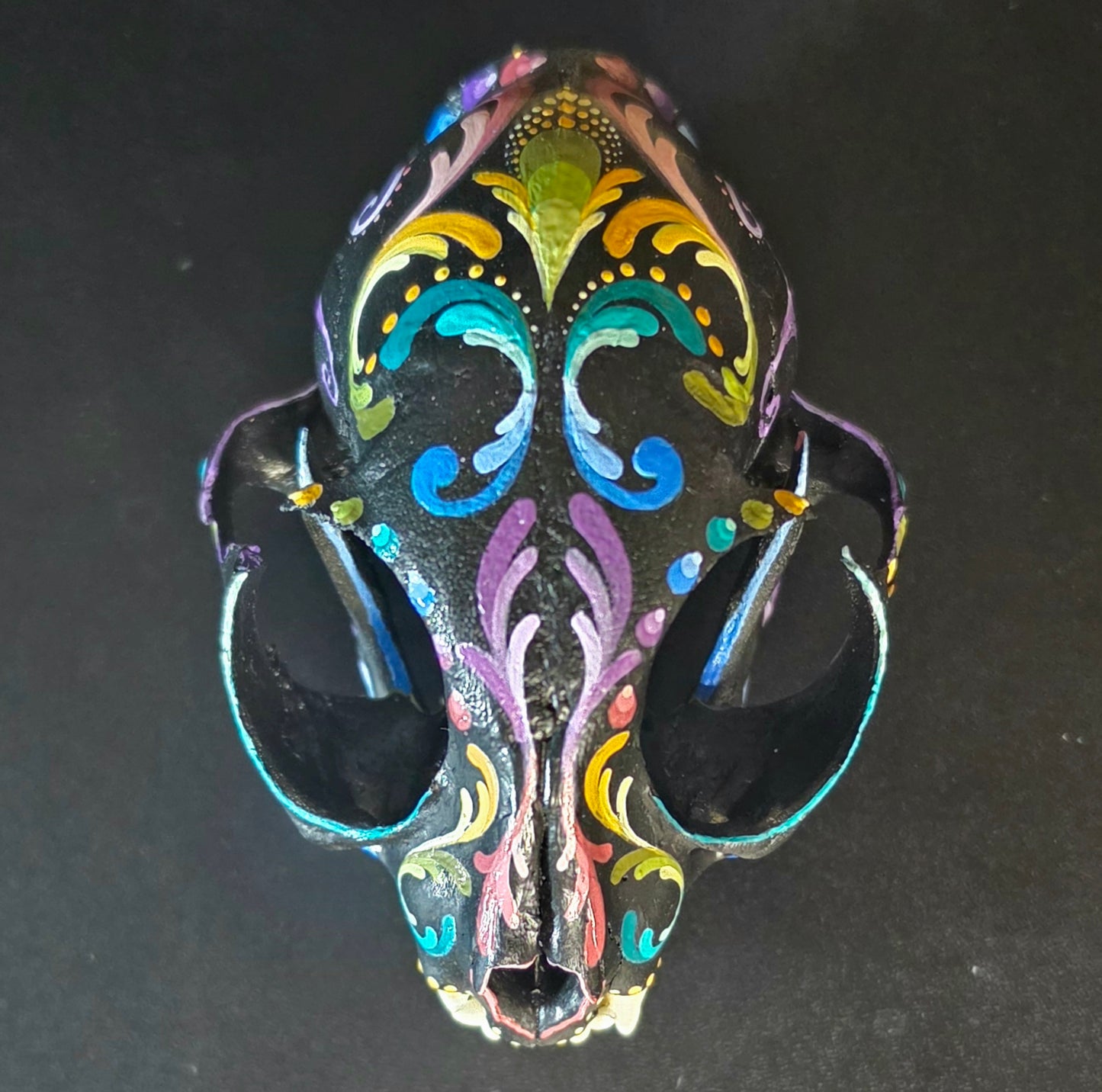 Cat Skull