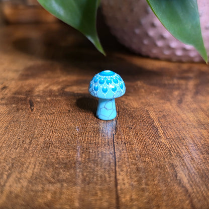 Mini Mandala Mushroom Collection