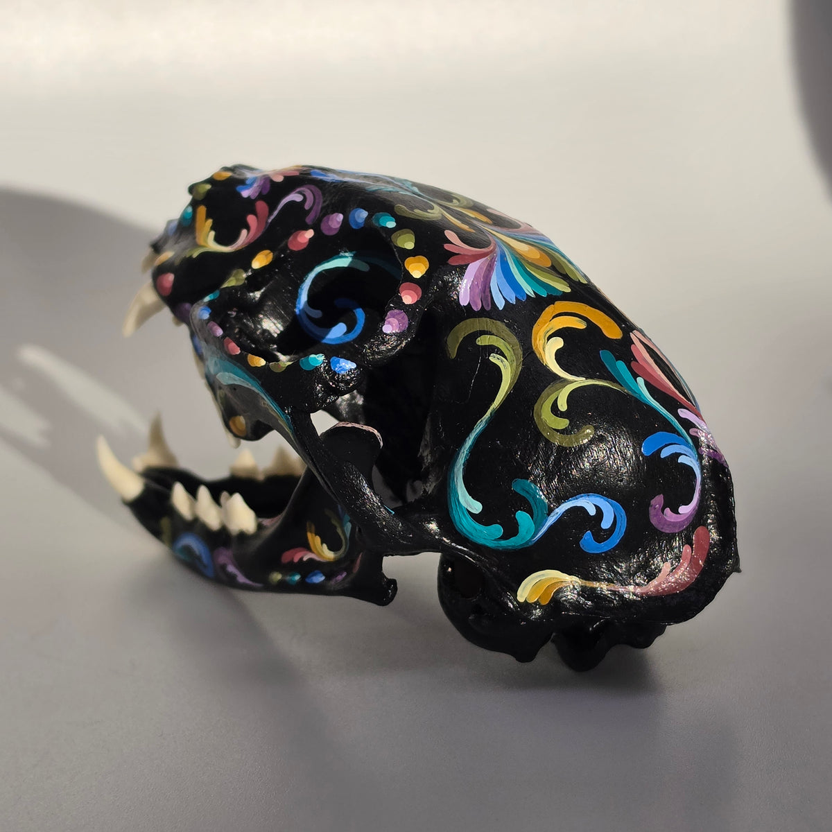 Cat Skull