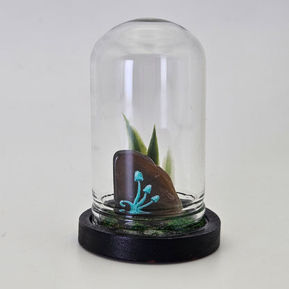 Mandala Mushroom Crystal Terrarium