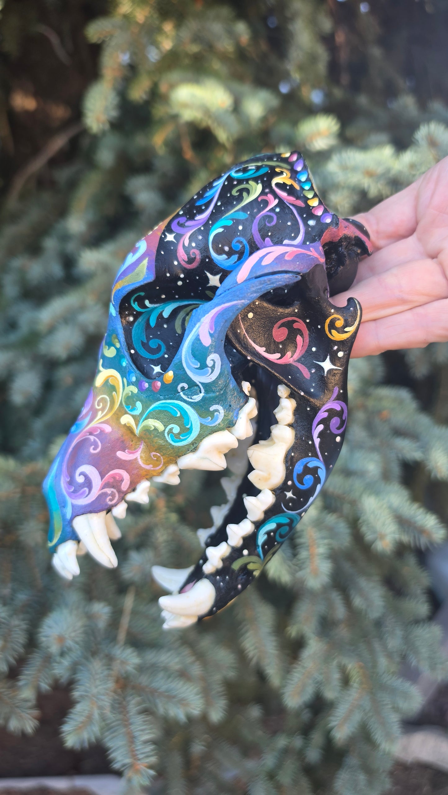 Coyote Skull - Pastel Galaxy