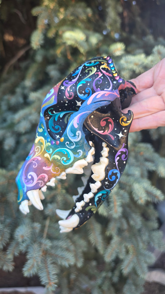 Coyote Skull - Pastel Galaxy
