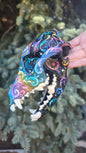 Coyote Skull - Pastel Galaxy