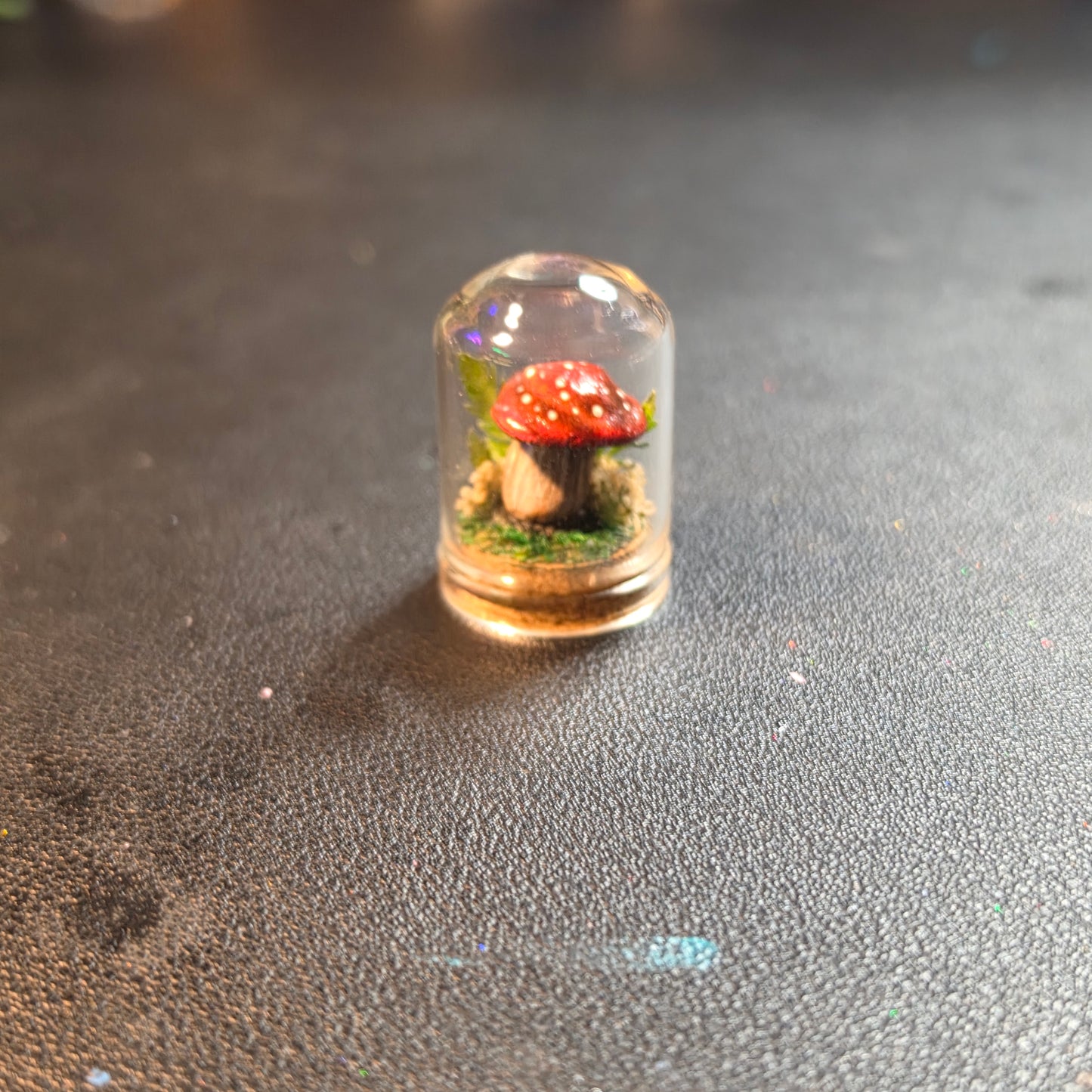 Miniture Mushroom Terrarium