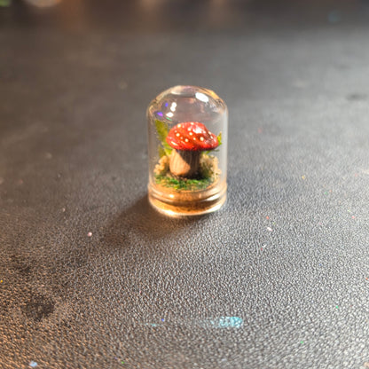 Miniture Mushroom Terrarium