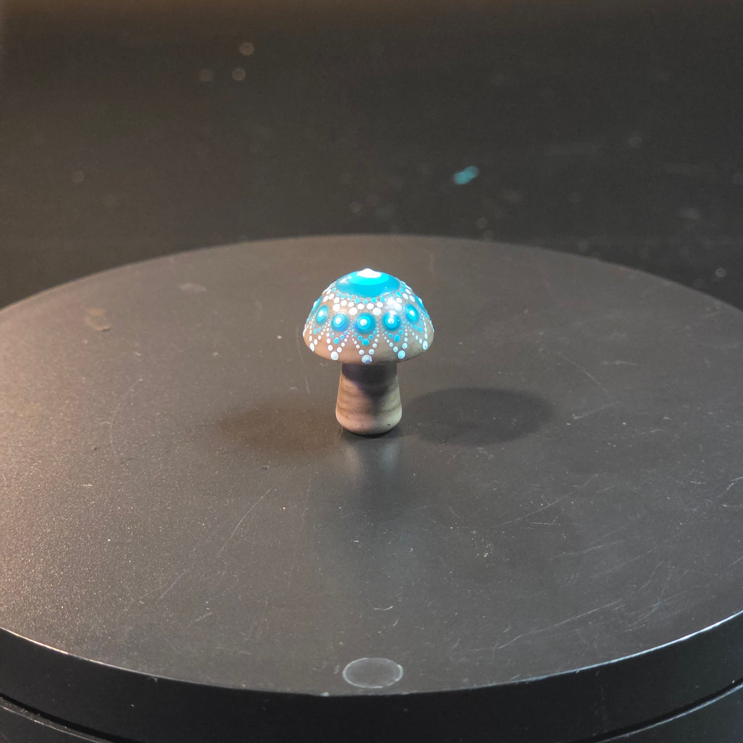 Mini Mandala Mushroom Collection