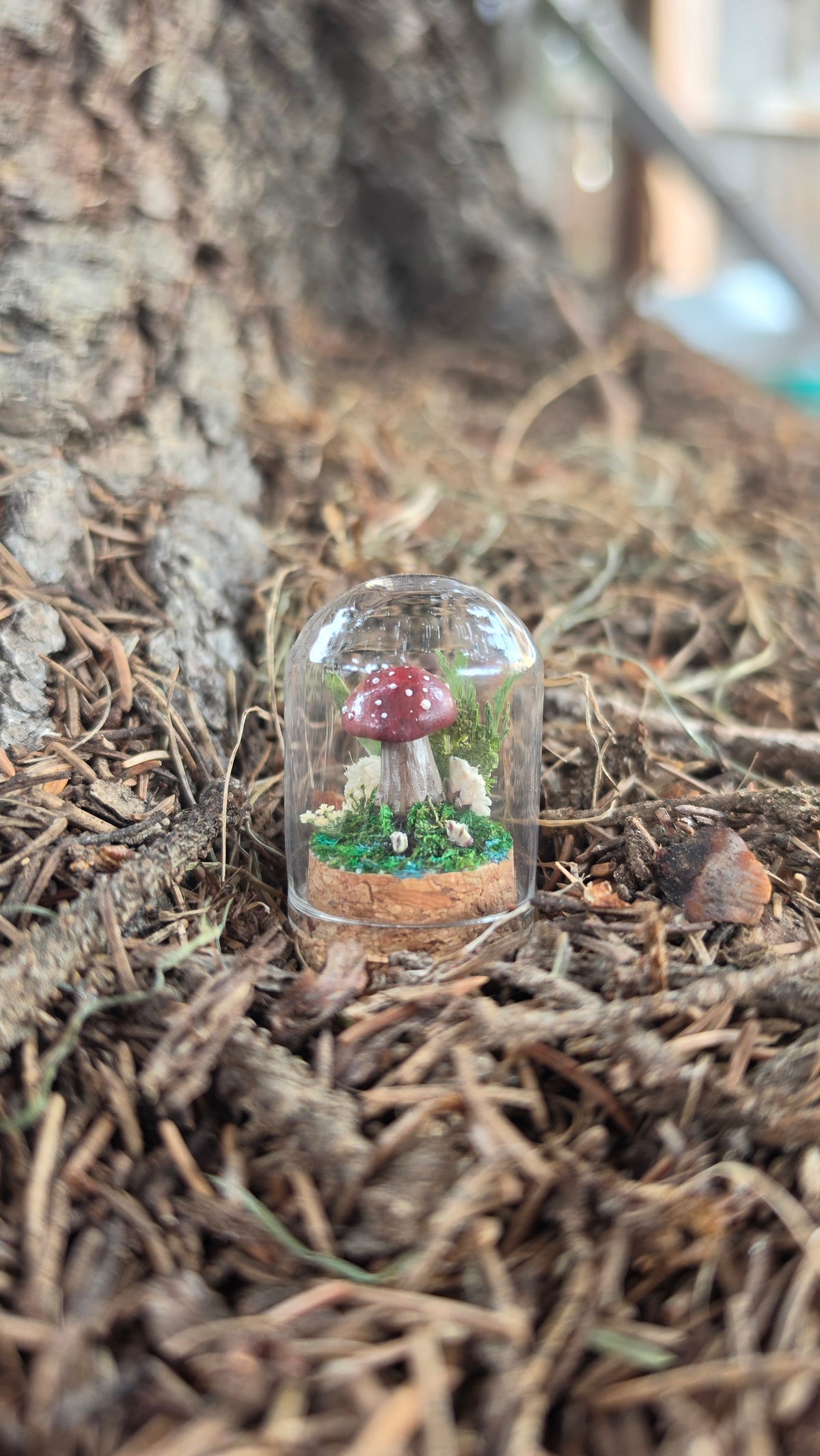 Miniture Mushroom Terrarium