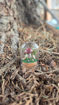Miniture Mushroom Terrarium