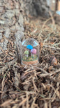 Miniture Mushroom Terrarium