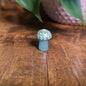 Mini Mandala Mushroom Collection