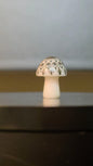 Mini Mandala Mushroom Collection