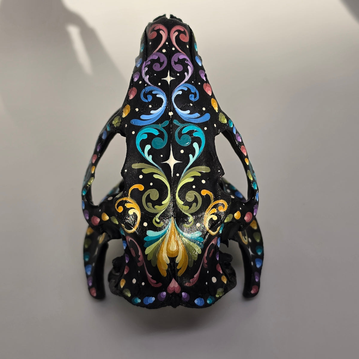 Nutria Skull - Pastel