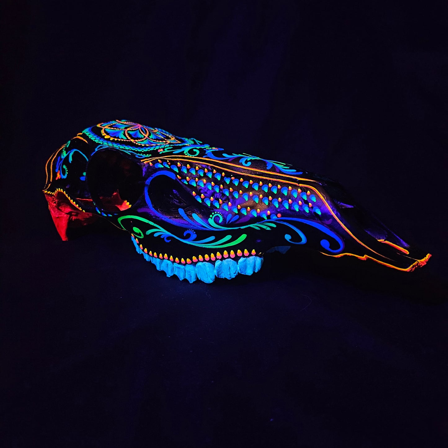 Crown of Creation - Elk Skull