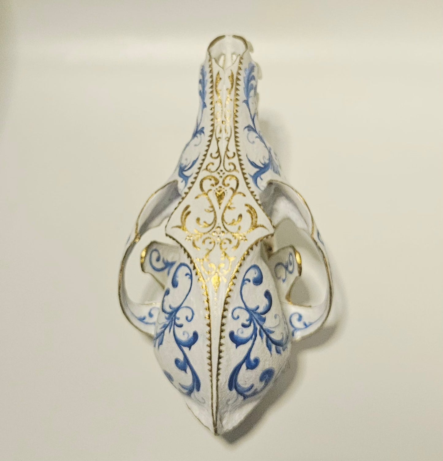 Fine China Coyote Skull