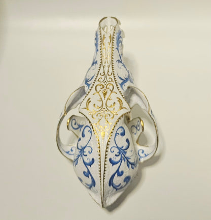 Fine China Coyote Skull