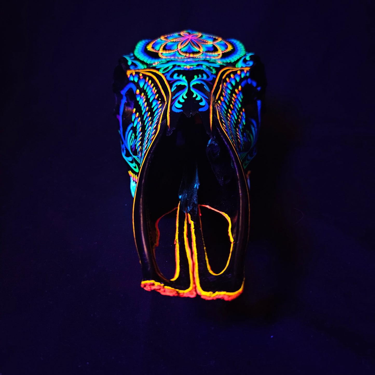 Crown of Creation - Elk Skull