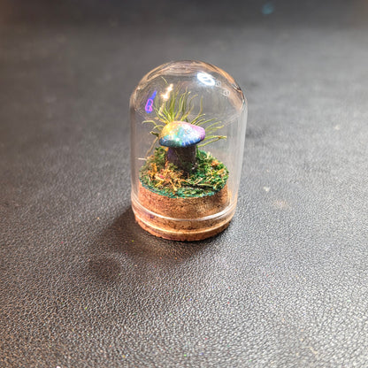 Miniture Mushroom Terrarium