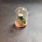 Miniture Mushroom Terrarium
