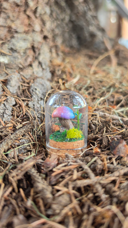 Miniture Mushroom Terrarium