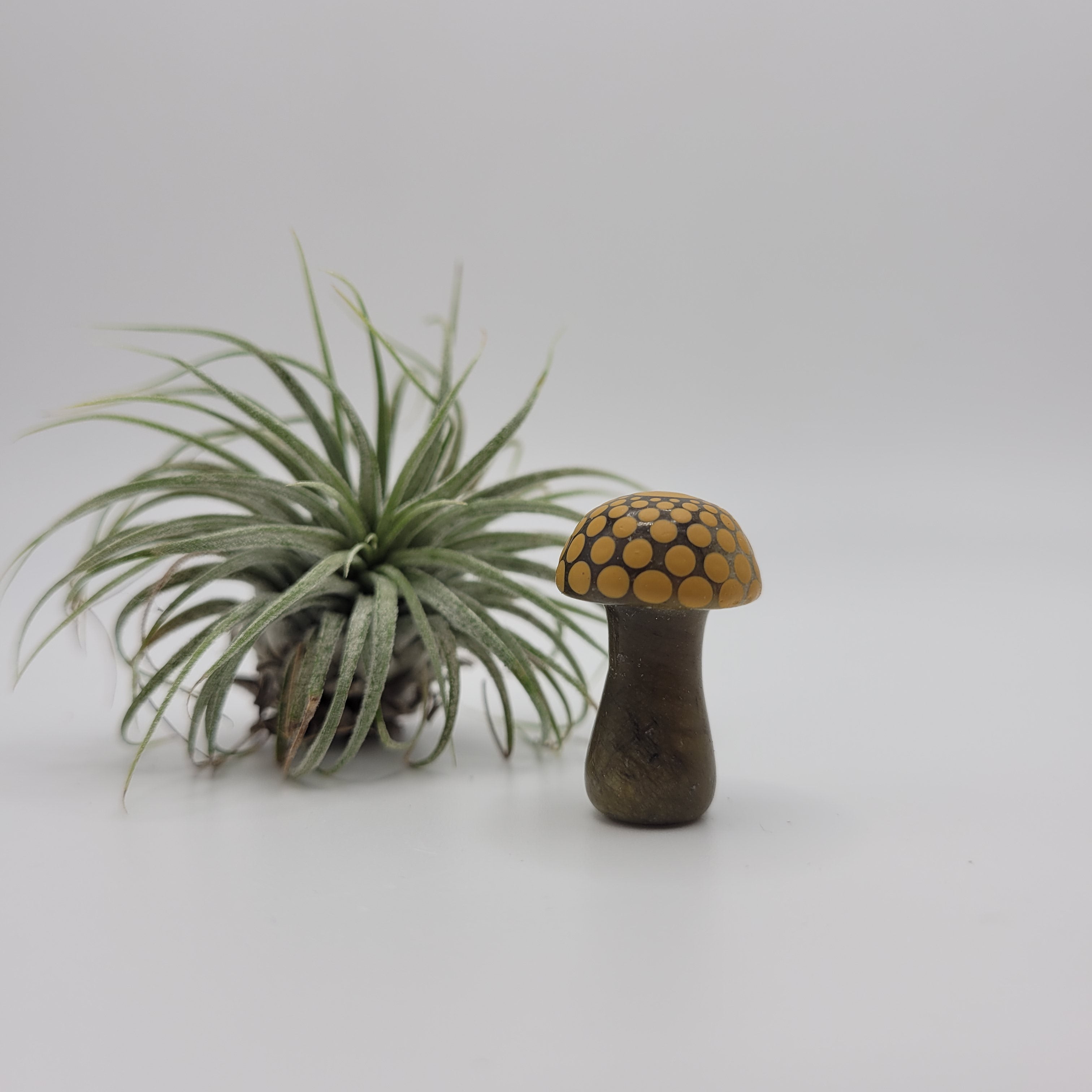 Mandala Mushroom - Serpentine